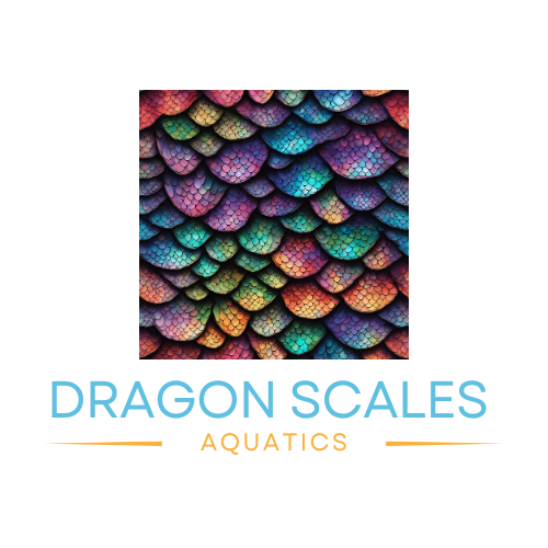 Dragon Scales Aquatics